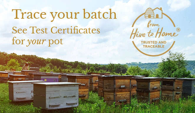 Trace your pot’s journey with our Hive to Home promise