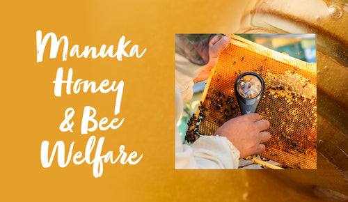 Manuka honey and bee welfare – what should you know before choosing a brand?
