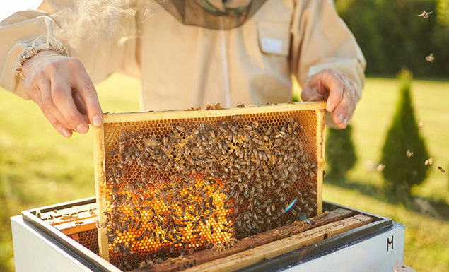 Is Manuka Doctor’s honey raw?