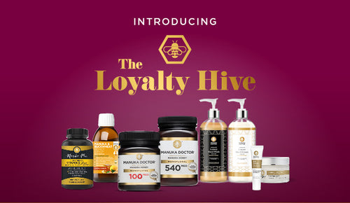 Introducing The Loyalty Hive